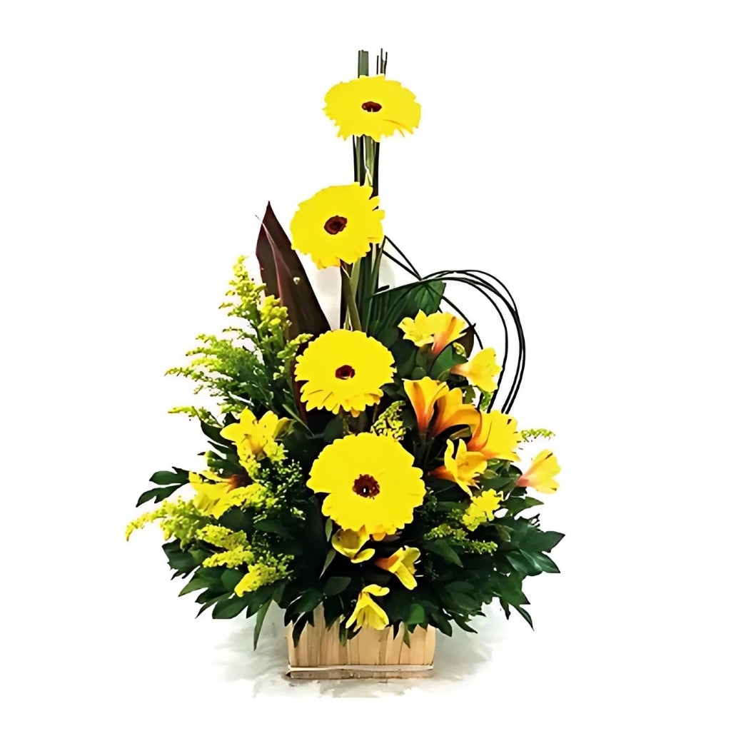 Arranjo-de-gerberas-amarelas_120.00