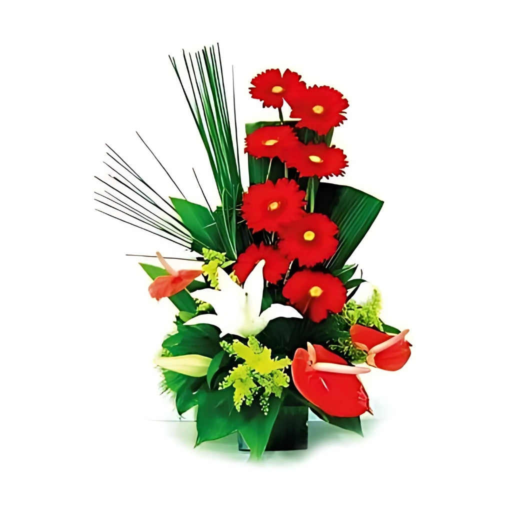 Mix-de-flores_385.00