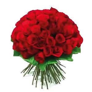 50 Rosas Colombianas