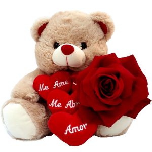 ROSA COLOMBIANA COM URSO DE PELÚCIA TE AMO!
