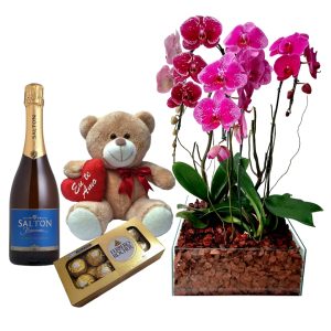 Kit Carinho Com Orquideas Phalaenopsis LIlaz